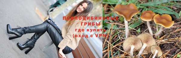 гашик Зеленодольск