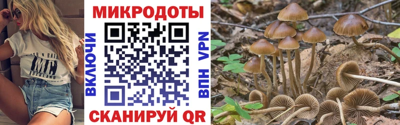 Галлюциногенные грибы мицелий  Купить где  Острогожск 